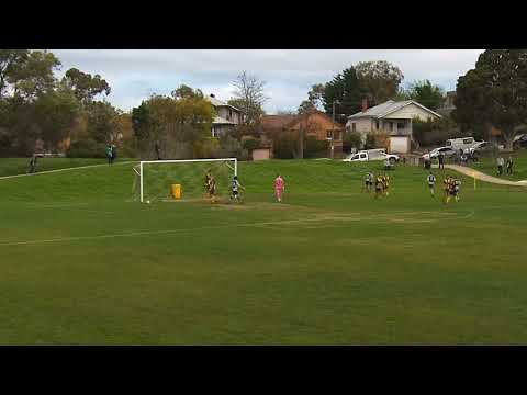 2023 FFV State League 4 North | RD12 | Men's Seniors| Brunswick Zebras FC vs Darebin utd