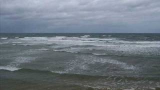 Elf Power - Green Sea Days