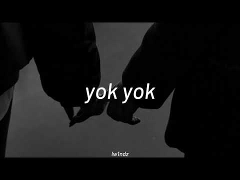 Feride Hilal Akın - Yok Yok ( slowed + reverb )