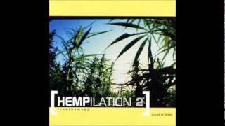 Gov&#39;t Mule &amp; Marc Ford - 30 Days in the Hole