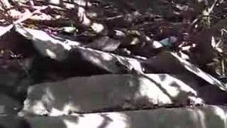 Discariche di amianto sul Carso