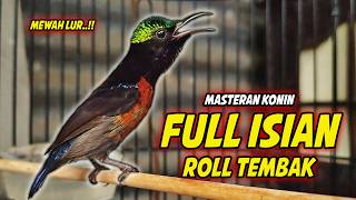 Download lagu MASTERAN KOLIBRI NINJA GACOR FULL ISIAN ROLL TEMBAK MEWAH !! PANCINGAN KONIN BAHAN TEMBAKAN SULTAN mp3