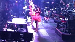 Marco Antonio Solís at Houston, Tx 2018 Viva El Amor