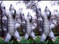 Tancujici veverky (Tearon) - Známka: 4, váha: velká