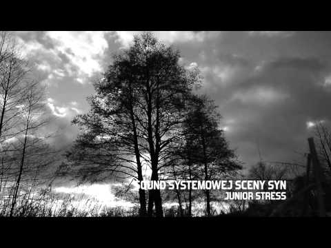Junior Stress - Sound Systemowej Sceny Syn / Gościnnie: Chonabibe