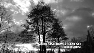 Junior Stress - Sound Systemowej Sceny Syn / Gościnnie: Chonabibe