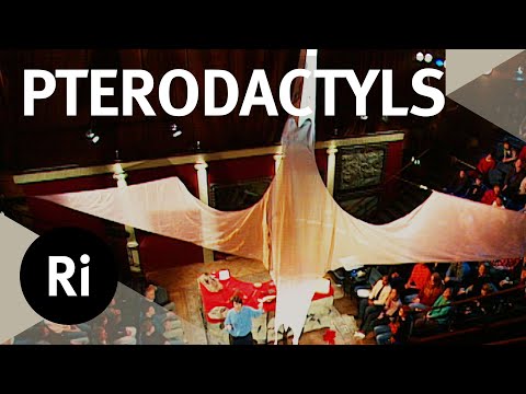 Becoming A Pterodactyl - Christmas Lectures with Simon Conway Morris