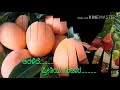 Thingala Belakina Angaladhalli Kannada Kottigobba Movie Song Whatsapp Status Video
