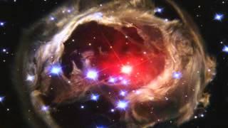 &quot;ONE BRAIN&quot; by Dr. Fiorella Terenzi &amp; Dr. Timothy Leary