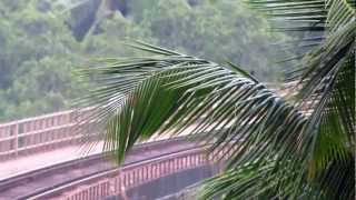 preview picture of video '12134 Mangalore Mumbai SF crossing Sharavati Bridge.'