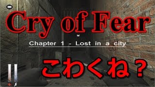 俺絶対ビビんねぇから見てろよ！【Cry of Fear】実況