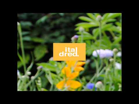 Kaligraph E - Potency