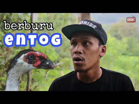 berburu-entok-cingire-ramadhan-15