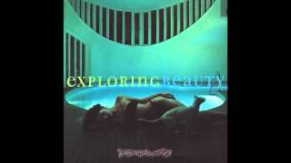 Düreforsög - Exploring Beauty (Full Album)