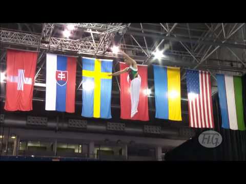 WORLD CHAMPIONSHIPS BIRMINGHAM 2011.wmv