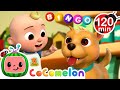 Bingo Is His Name O 2 HOURS OF COCOMELON Animals For Kids Sing Along Songs For Kids