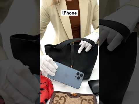 What fits inside the Hermes Picotin Lock 22?