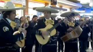 Mariachi Botas Negras, El Rancho La Calandria.avi