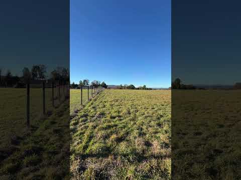Ver video — Parcela de 5.000 m² en Praderas de Nancahue, Loncoche, con rol propio y vista a dos volcanes