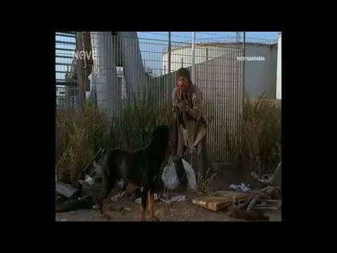 Ricky e Barabba - Ma te ne voi annà, che questa e zona mia.!!