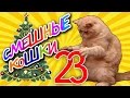 Смешные кошки 23 Коты против Ёлок - Приколы с животными 2015 Funny cats vine ...