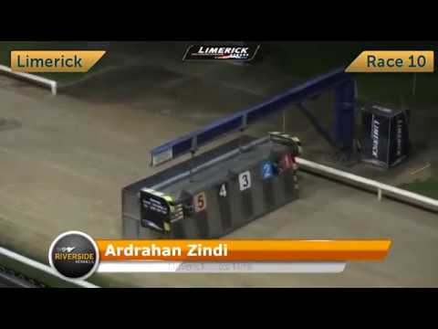 Ardrahan Zindi - Limerick Oaks Final 2017