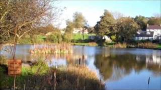 preview picture of video 'Tyddyn Sargent fishery.wmv'