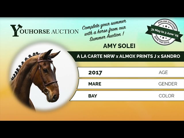 Amy Solei showvideo