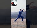 Learning Tai Chi Can Improve Self Defense Skills Wudang Taichi Health Qigong Chinese Kung Fu