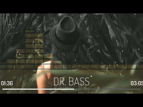 Clean Bandit & Zara Larsson - Symphony Bass Boosted (Dash Berlin Remix)