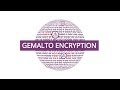 Gemalto SafeNet Encryption and Tokenization Solutions
