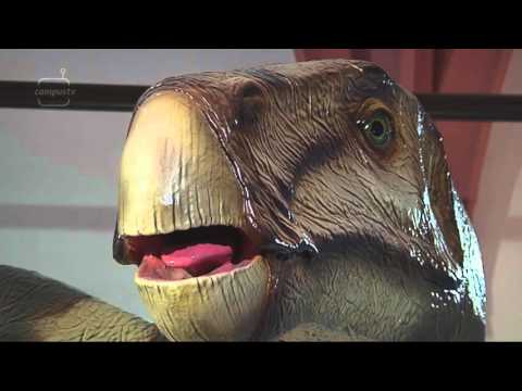 CampusTV Mainz 218 - Dinoeier