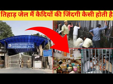 What is the life of prisoners like in Tihar Jail? | Tihad jail | The One Dream