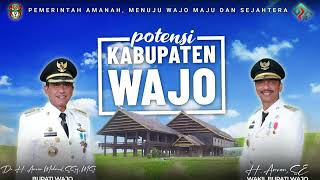 Potensi Kabupaten Wajo