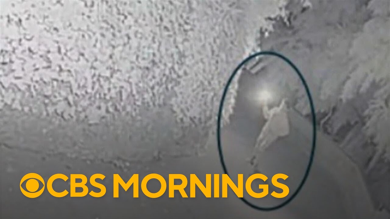 Investigators explain why they think OpenAI CEO Sam Altman was targeted in recent attack