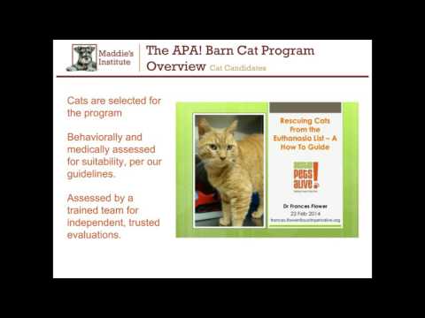 APA Barn Cat Program apprenticeship webcast