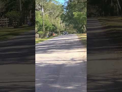 1991 Cadillac Brougham (CC-1912643) for sale in Jacksonville, Florida