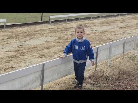 Isaszeg Agárverseny, 2018.11.03. Big Blood Ticket