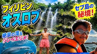【vlog】セブ島在住日本人がオスロブ行ってジンベイザメと泳いでみた
