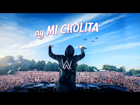 Alan Walker - Ay mi cholita (Style Walker, New Music Video 2026 )