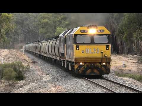 BL33-8101 on 7936V loaded with SP1 barley ex Birchip to Geelong on Bealiba Bank  24-02-20. 15.41.32