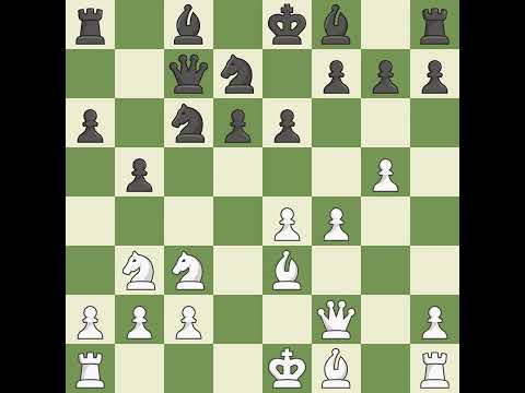 Medvegy Zoltan (HUN) VS Bielczyk Jacek (POL)