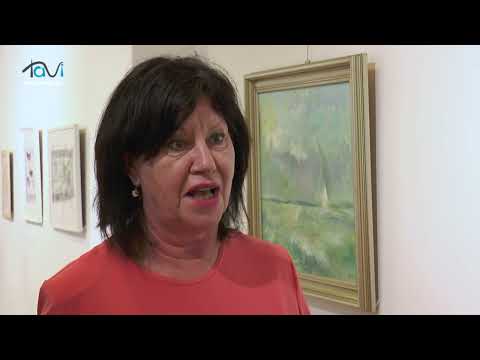 Újabb tárlat a korzóban! Bemutatkozott a Somogyiak baráti köre! - Tavi TV