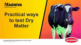 How to Test Forage dry matter at home | Quick & Easy methods