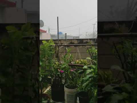 Huricane Maria patillas Puerto Rico.