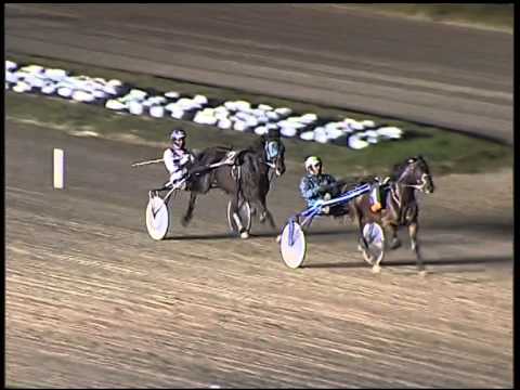 Trotto 30/10/2014 - 2° prova di riqualifica