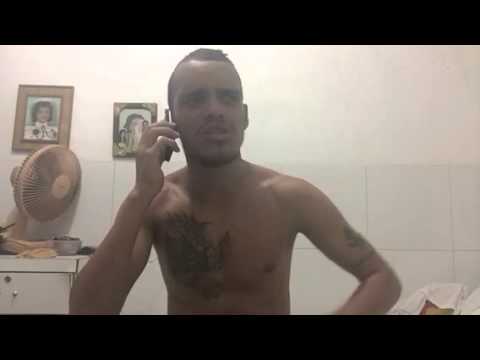 DILMA CUTUCOU OS TERRORISTAS