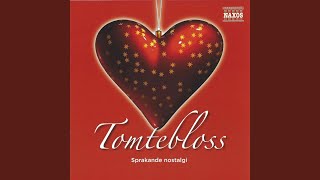 Jag drömmer om en jul hemma