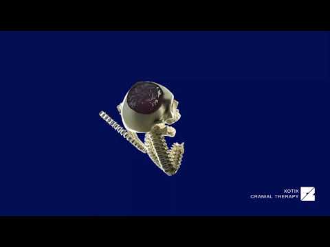 XOTIX - Cranial Therapy [BELOW x Electric Hawk]