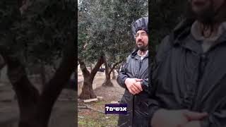 קיץ במקדש ביום גשם?! #הרהבית (ישיבת הר הבית) - התמונה מוצגת ישירות מתוך אתר האינטרנט יוטיוב. זכויות היוצרים בתמונה שייכות ליוצרה. קישור קרדיט למקור התוכן נמצא בתוך דף הסרטון